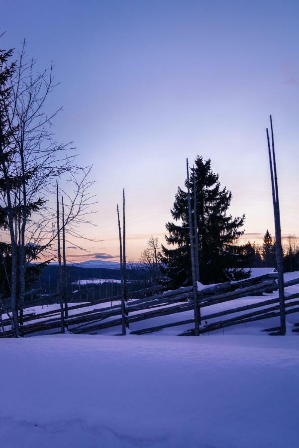 Asarna Skicenter Exterior foto